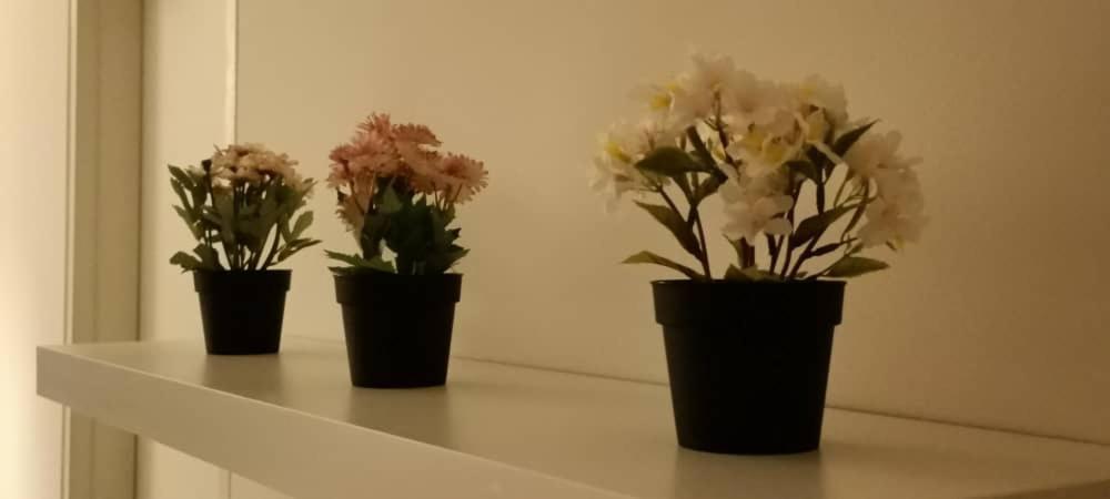 Cozy Studio Unit,Cyberjaya,Wifi, Netflix,Free Parking Exteriör bild